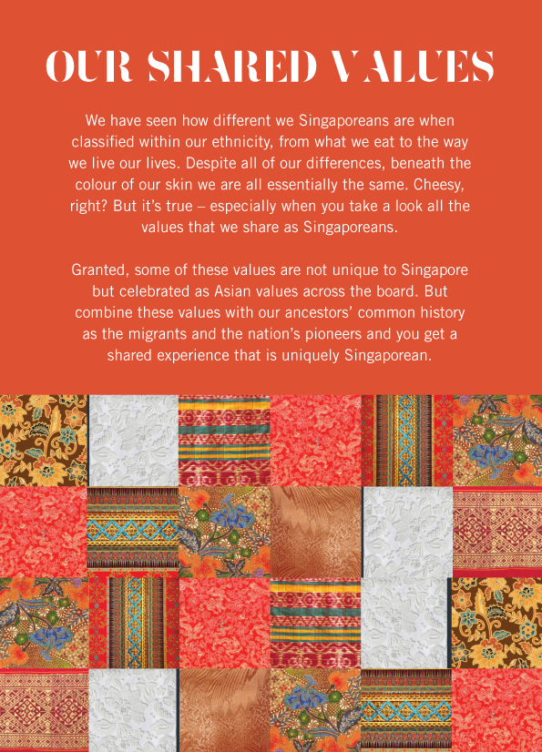 The Singapore Ethnic Mosaic Public Education Series: Building Intercul ...